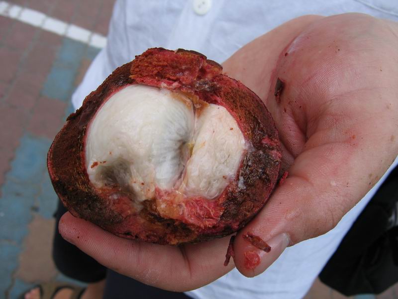 Mangosteen - vetřelec???