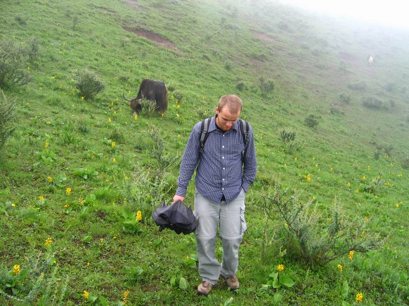 Jačí louka - rupek a jak