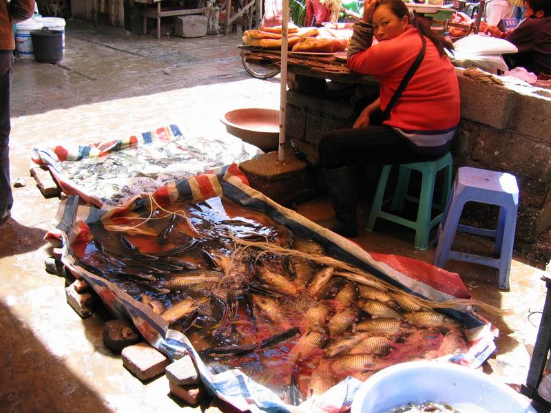 Lijiang - trh - znuděná prodavačky ryb