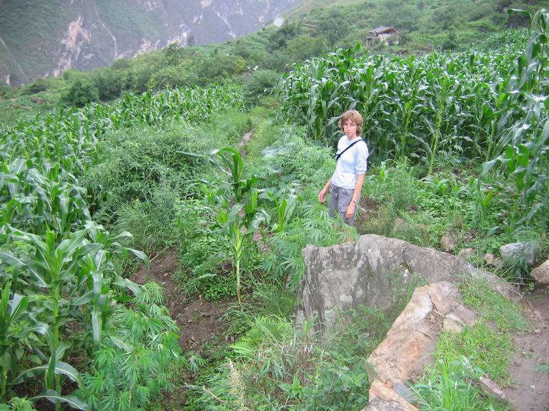 TLG - ivoš v ráji všech huličů