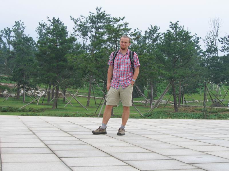 Výsatba vzrostlých stromů má svá úskalí...