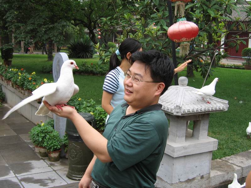 Huaqing Hot Spring Royal Garden - místní holubi