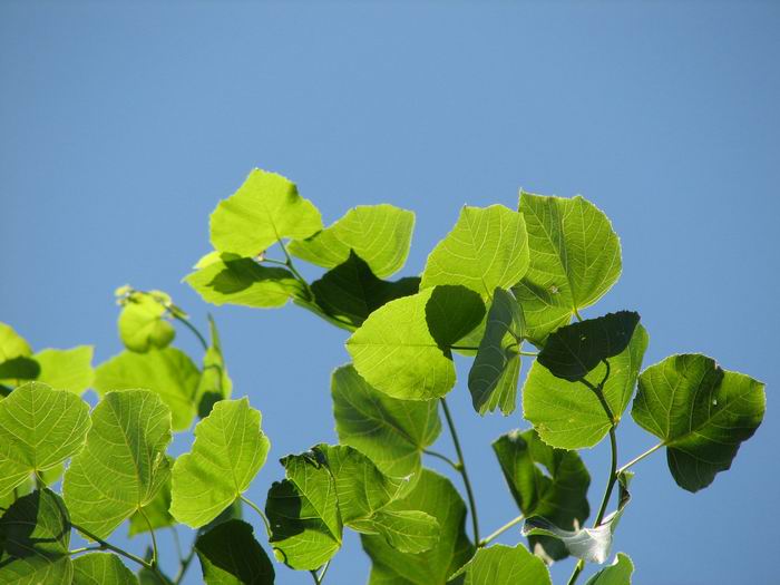 Počasí nám přálo