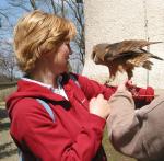 Sovička útočí na Holčičku